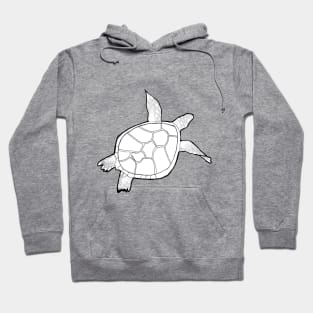 Beautiful swimming turtle Hoodie